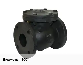 Клапан чугунный 100 Ру16 обратный, двустворчатый 120